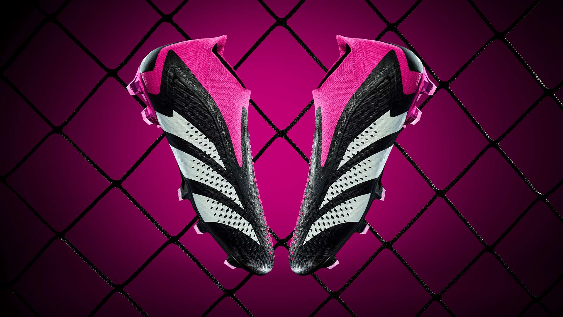 再次验证了 再次验证了