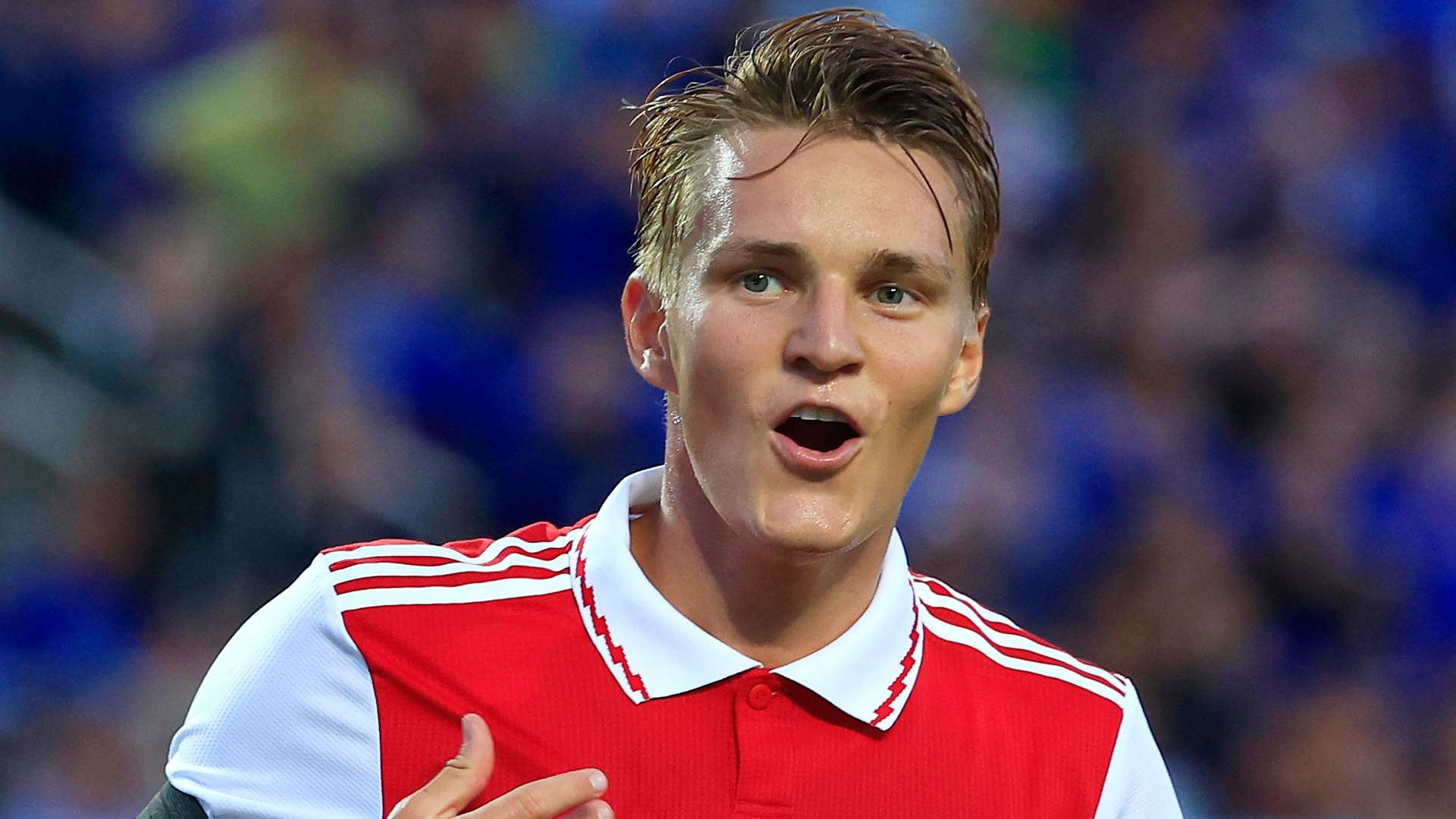 而优良的 而优良的